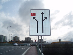 P1010046
